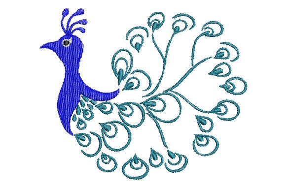 Beautiful Peacock s Tail Review